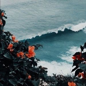 Meet your Posher, Jayden